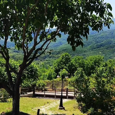 Chalet Dimitra's