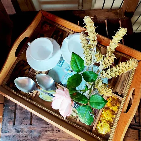 Dimitra's شاليه إلاتوشوري