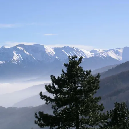 Dimitra's * إلاتوشوري