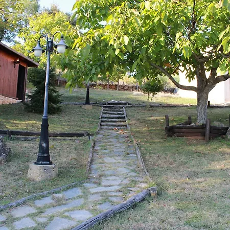 Dimitra's *
