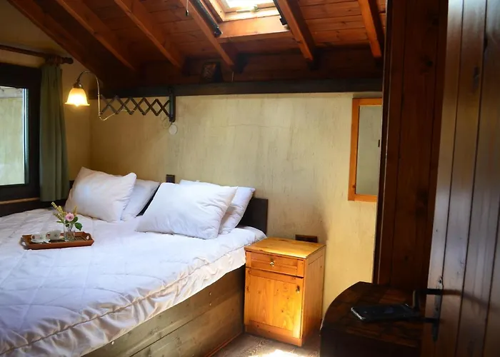 Dimitra's Chalet Elatochori