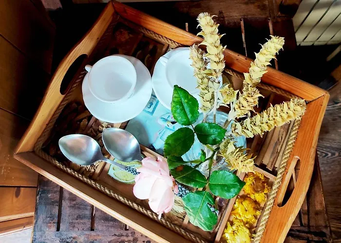 Dimitra's Chalet Elatochori