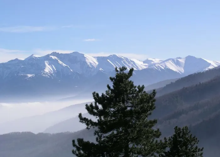 Dimitra's * Elatochori